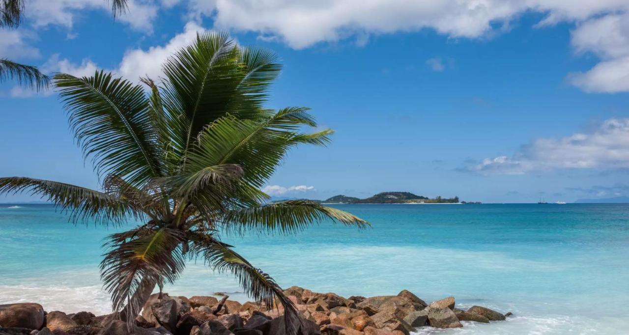Villa Confort Grand Anse  Eksteriør bilde